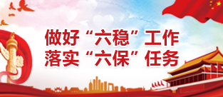 做好“六稳”工作 落实“六保”任务