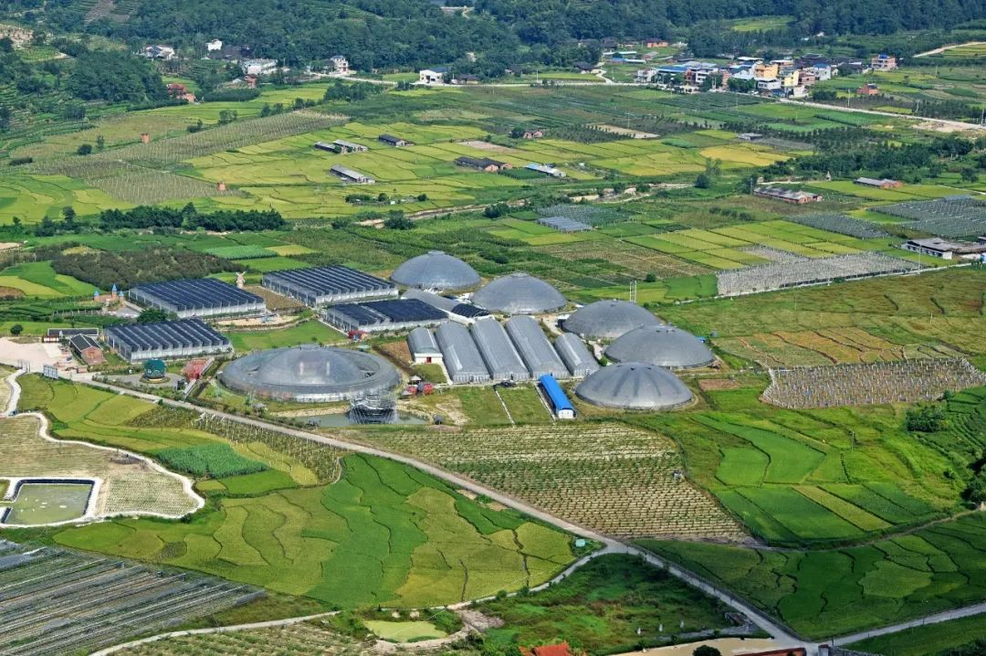 福安市溪柄镇楼下村生态引擎激发多彩农文旅